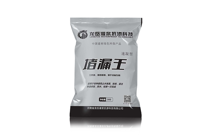 堵漏王